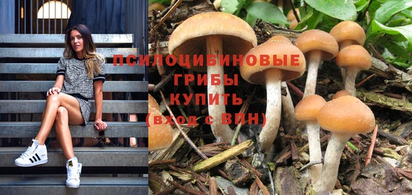 бутират Краснотурьинск