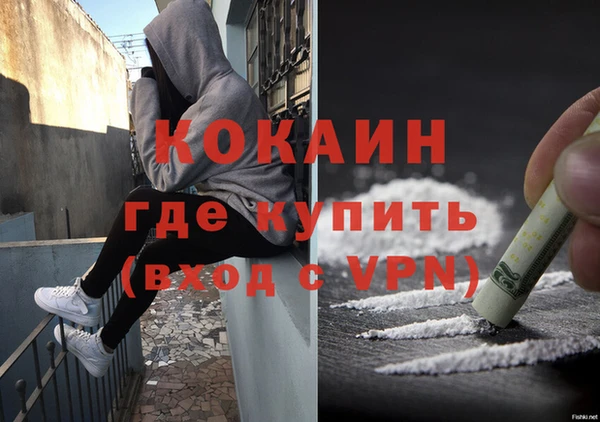 ALPHA PVP Щигры